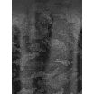 10-11154.309