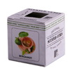 20-32601/bergamot