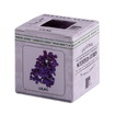 20-32601/lilac