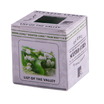 20-32601/lily_of_the_valley