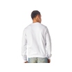40-1732013XL