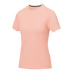 40-3801291XL